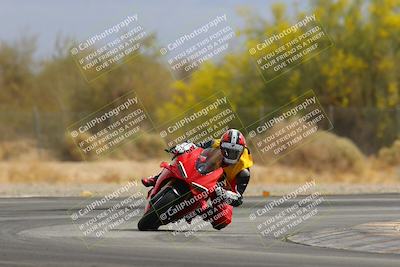 media/Apr-12-2025-Race Pace (Sat) [[9230add55f]]/Vested/1-Turn 2 (10am)/